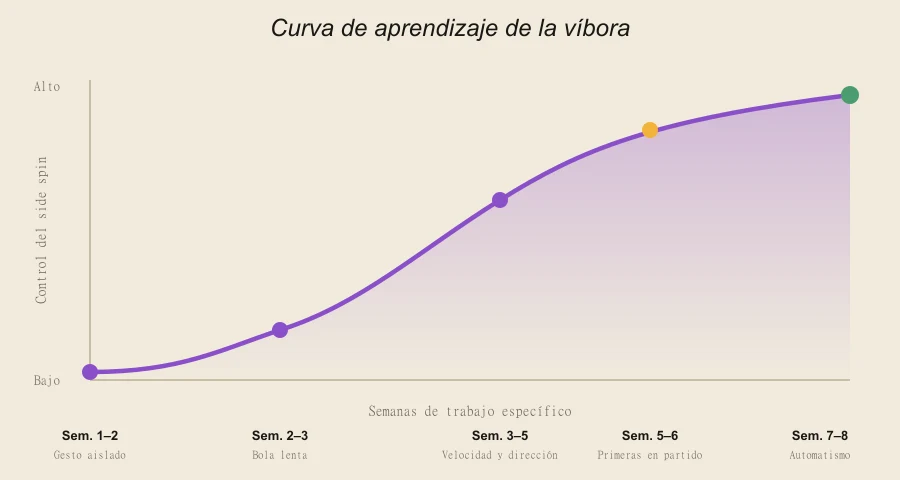 Curva de aprendizaje de la víbora en pádel: fases, hitos y semanas esperadas